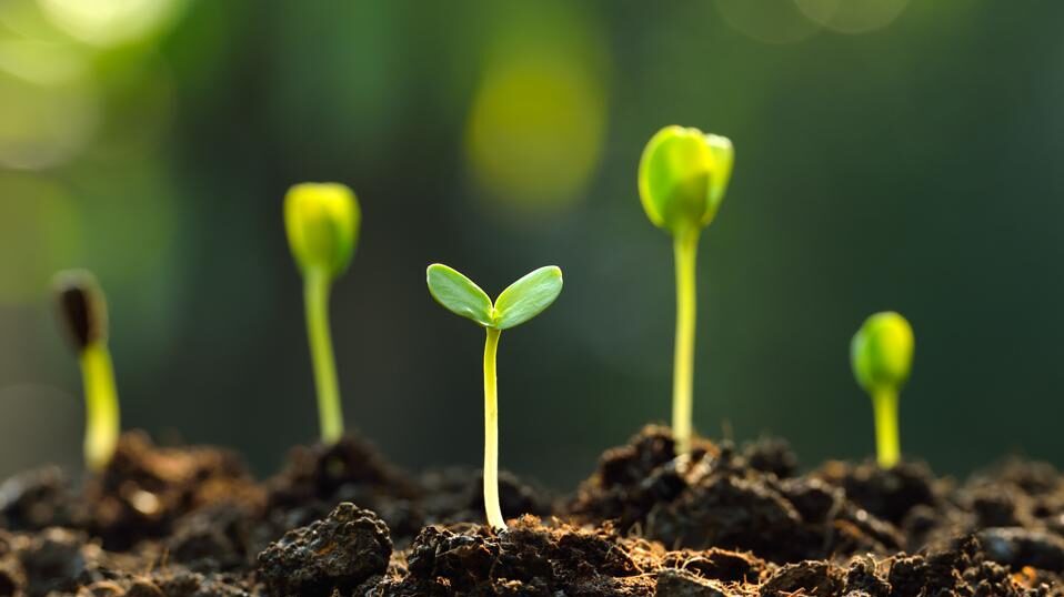 Best Online Savings Accounts Of November 2022