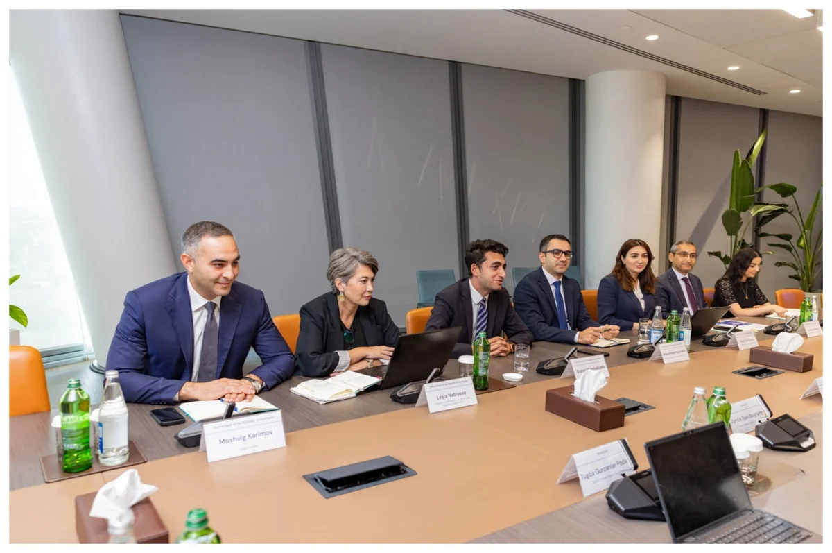 Azerbaijan, World Bank discuss joint initiatives to develop financial sector