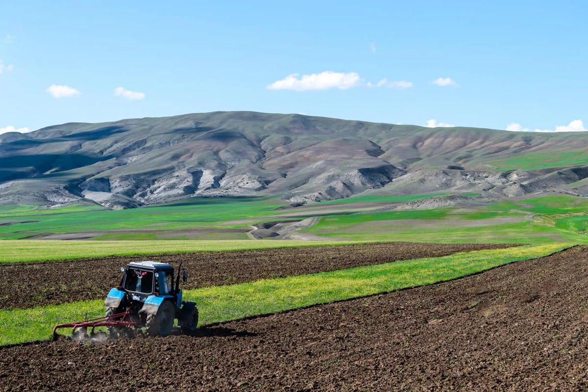 Azerbaijan's agricultural output rises 1.1% in January-September